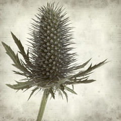 textured old paper background