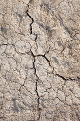 Cracked soil.