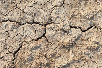 Cracked soil.