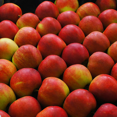 background with the appples