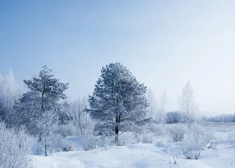 Fototapete Winter winter landscape
