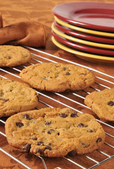 Fresh baked chocolate chip cookies