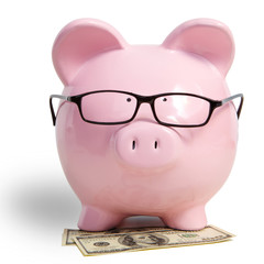 Pig bank and dollars