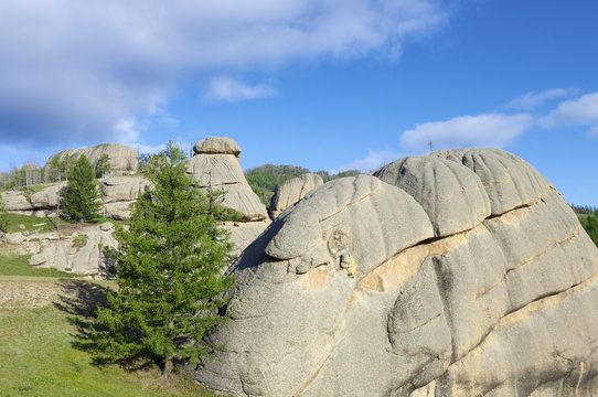 Mongolian Landscape