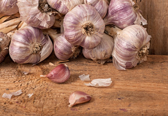 Garlic