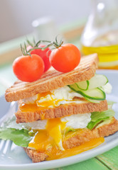 toasts with egg-poached
