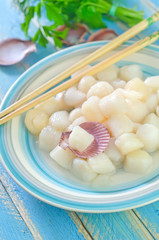 scallop