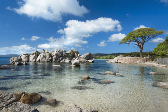 Plage de palombaggia Corse France