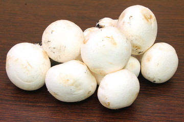 champignon