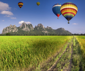 Fototapeta premium Balloon fly