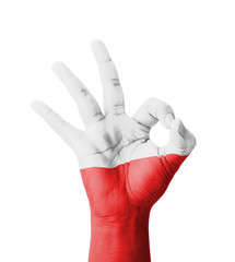 Hand making Ok sign, Poland flag painted