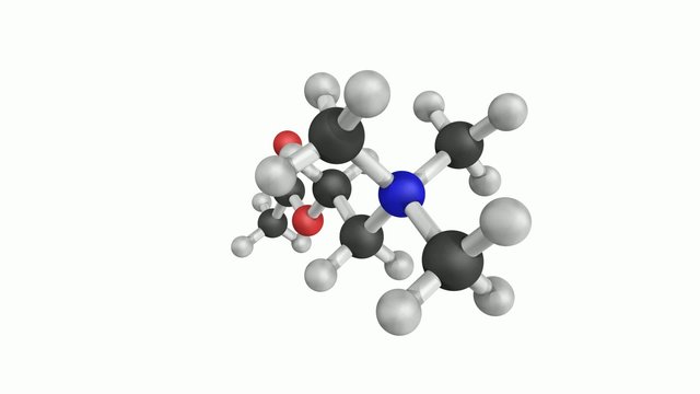 Acetylcholine (ACh) neurotransmitter, molecular model