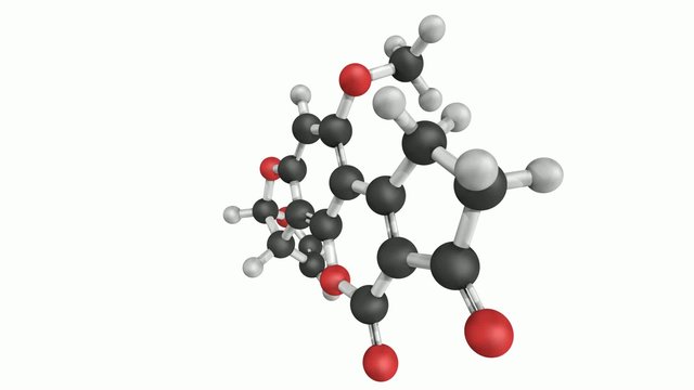 Aflatoxin b1 is a carcinogenic metabolites of fungal species