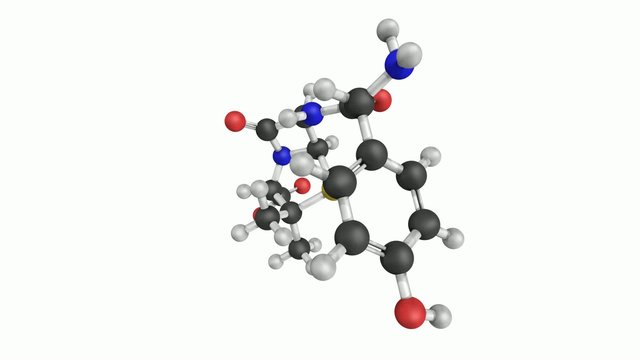 Amoxicillin beta-lactam antibiotic drug, chemical structure