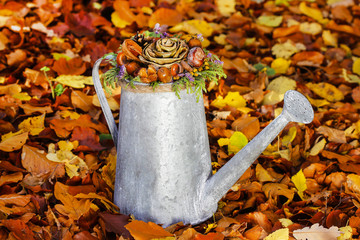 Fototapeta premium Silver watering can with autumn flowers and plants inside.