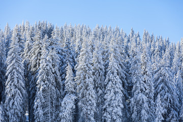 Mountain at winter