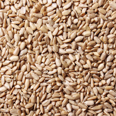 Sunflower seeds background. Peeled