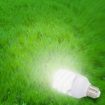 Illuminated light bulb on grass
