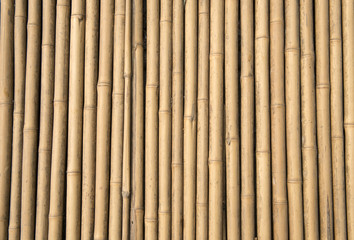 Light Golden bamboo Background