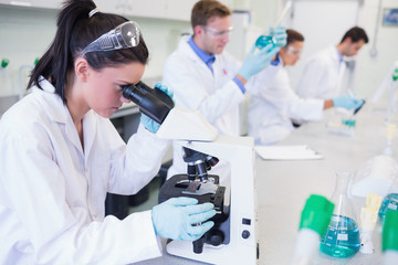 Researchers working on experiments in lab