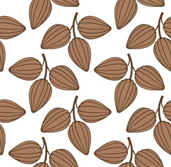 Cocoa. Pattern