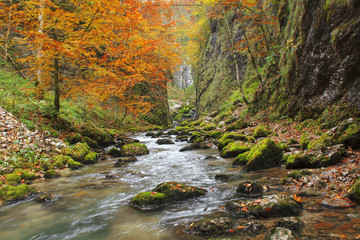 Galbena canyon autumn