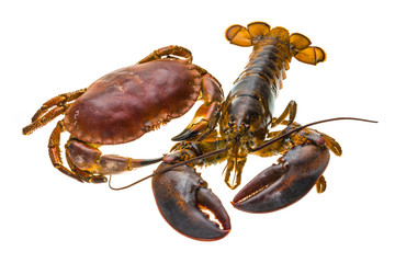 Raw Lobster and Crab