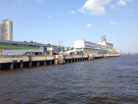 lingofiume