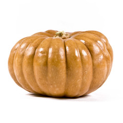 Obraz premium Zucca
