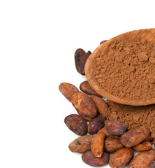 fresh cocoa isolated on white