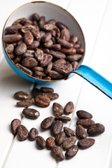 cocoa beans in scoop