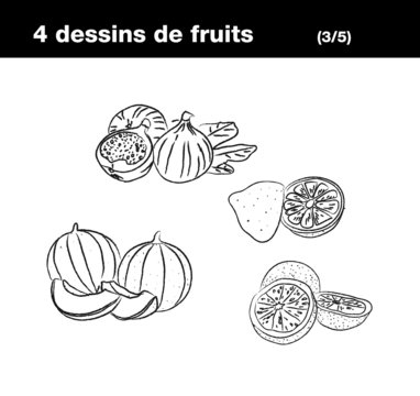 Fruits : melon, figue, citron, pamplemousse