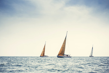 Sailing ship yachts with white sails