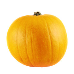 Ripe orange pumpkin isolated