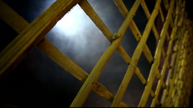 Backgrounds
