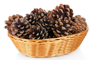 Beautiful pine cones in wicker basket isolated on white