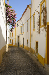 Fototapeta na wymiar White and yellow street in Evora, Portugal