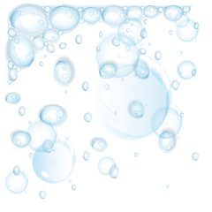 Water Drops - On White Background - Vector Illustration