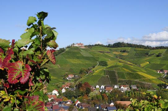 Schloss Staufenberg Durbach Herbst