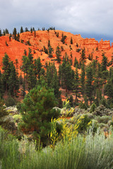 Bryce Canyion, Utah United States of America