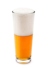 beer on white background