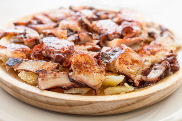 Octopus Tapas