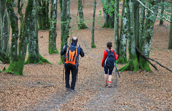 1,216 件の最適な Hayas 画像、ストック写真、ベクター | Adobe Stock