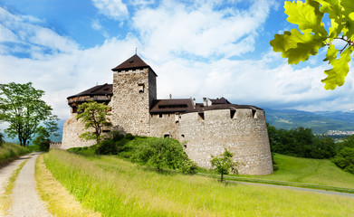 Fototapeta na wymiar Vaduz prince castle