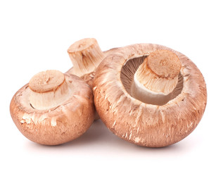 Brown champignon mushroom