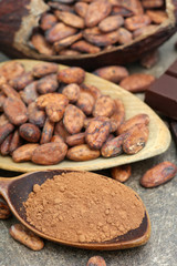 Kakaopulver mit Kakaobohnen