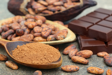 Kakaopulver mit Kakaobohnen