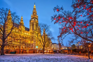 Fototapeten Wiener Rathaus © sborisov