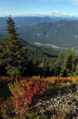 Mount Rainier, Washington state USA