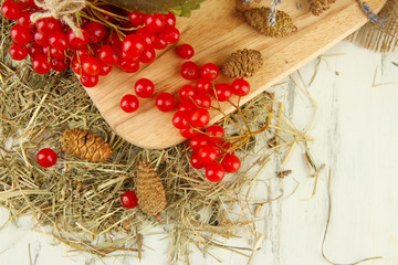 Red berries of viburnum